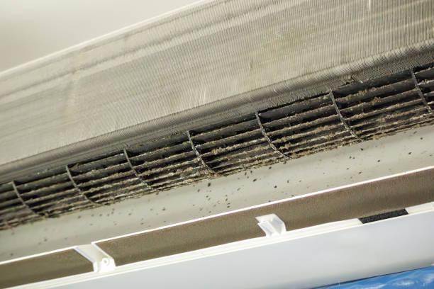 Best Ductwork Cleaning Services  in Scottsbluff, NE